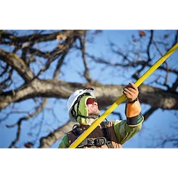 Worker wearing safety gear uses BOLT Personal Voltage Detector on a utility pole, with trees and blue sky in the background.
