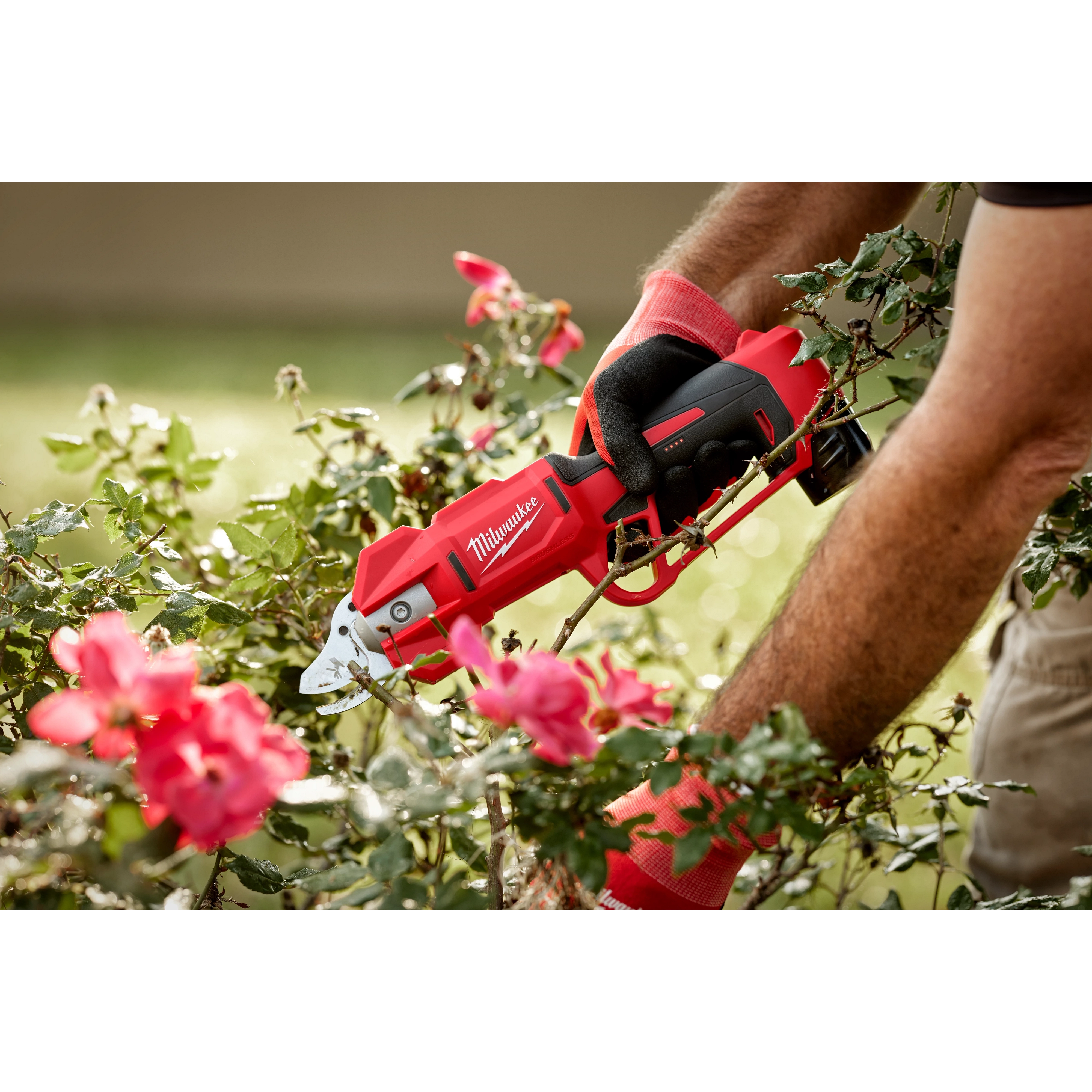 M12™ Brushless Pruning Shears