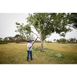 A person wearing safety gear is using a 16’ Pole Saw & Pruner to trim branches from a tree in an open, grassy area. The pruned branches are scattered on the ground below.