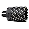 The image shows a 1" Annular Cutter with sharp, spiral flutes and a cylindrical shank designed for cutting precise holes in metal.