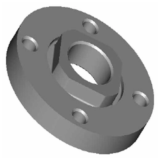 Brida posterior