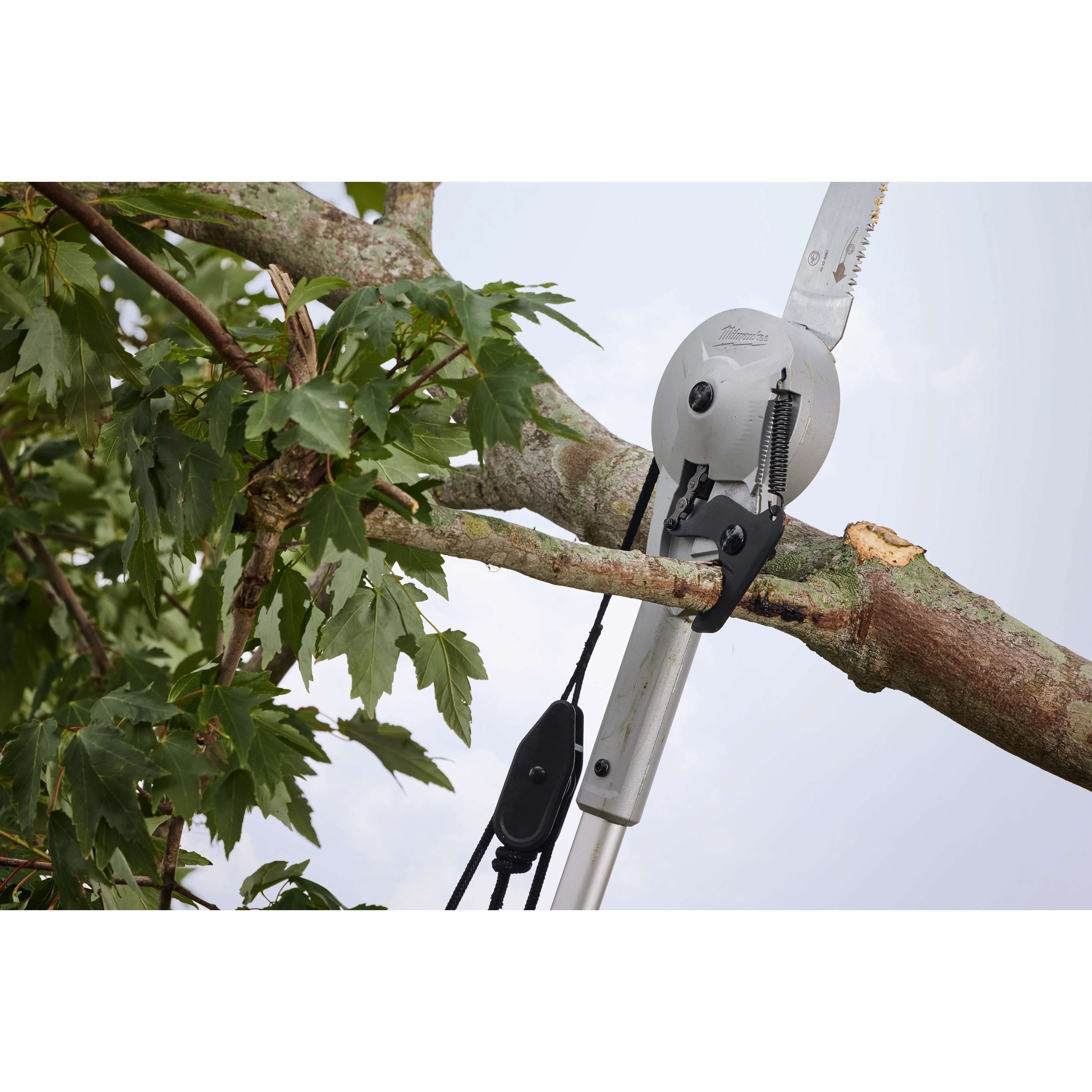 A 16' Pole Saw & Pruner is being used to trim branches off a tree. The image shows the saw blade cutting a thick branch among green leaves, highlighting the tool's extension capabilities.