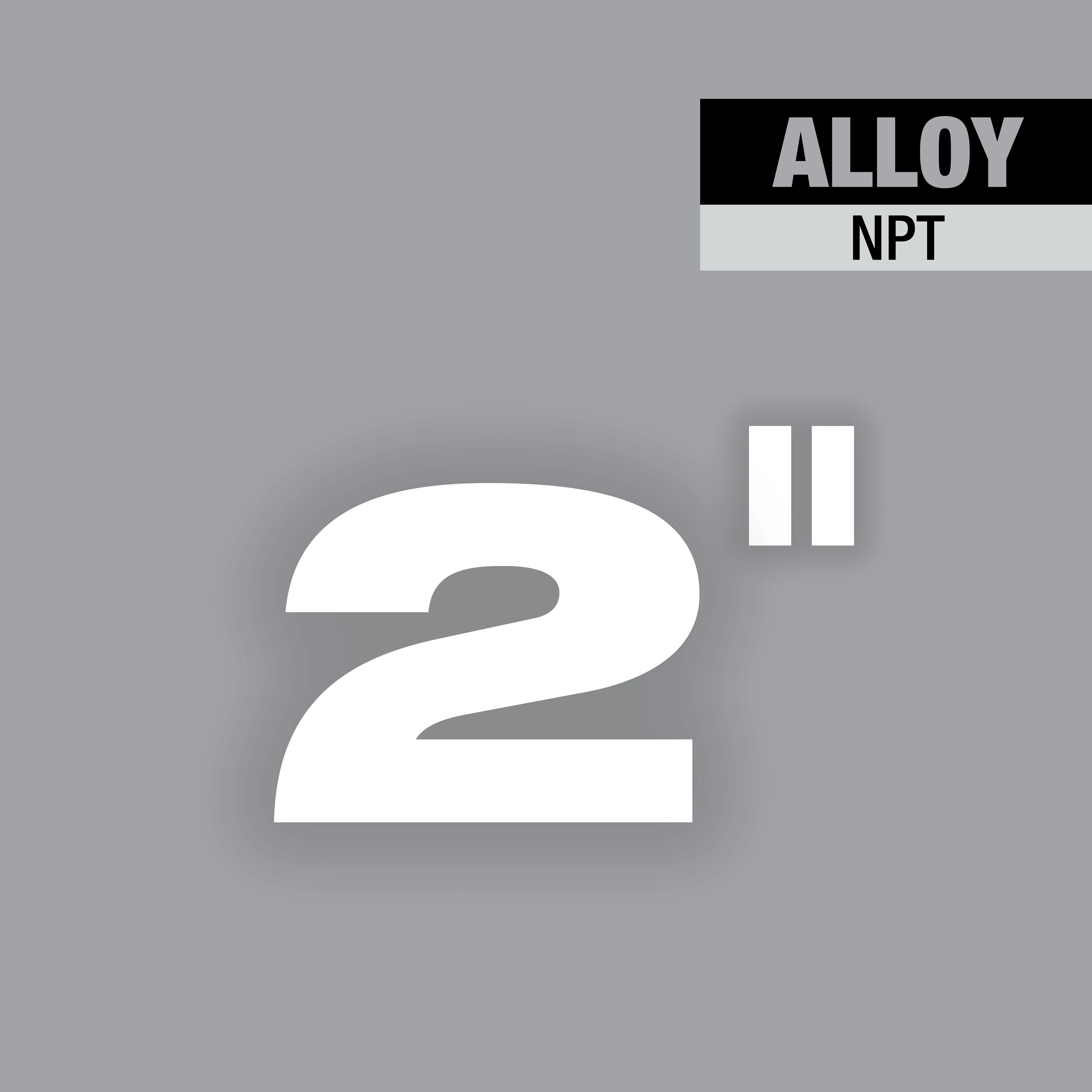 2" ALLOY NPT Forged Aluminum Die Head illustrated on grey background. The size "2" is prominently displayed with "ALLOY NPT" in the top right corner.