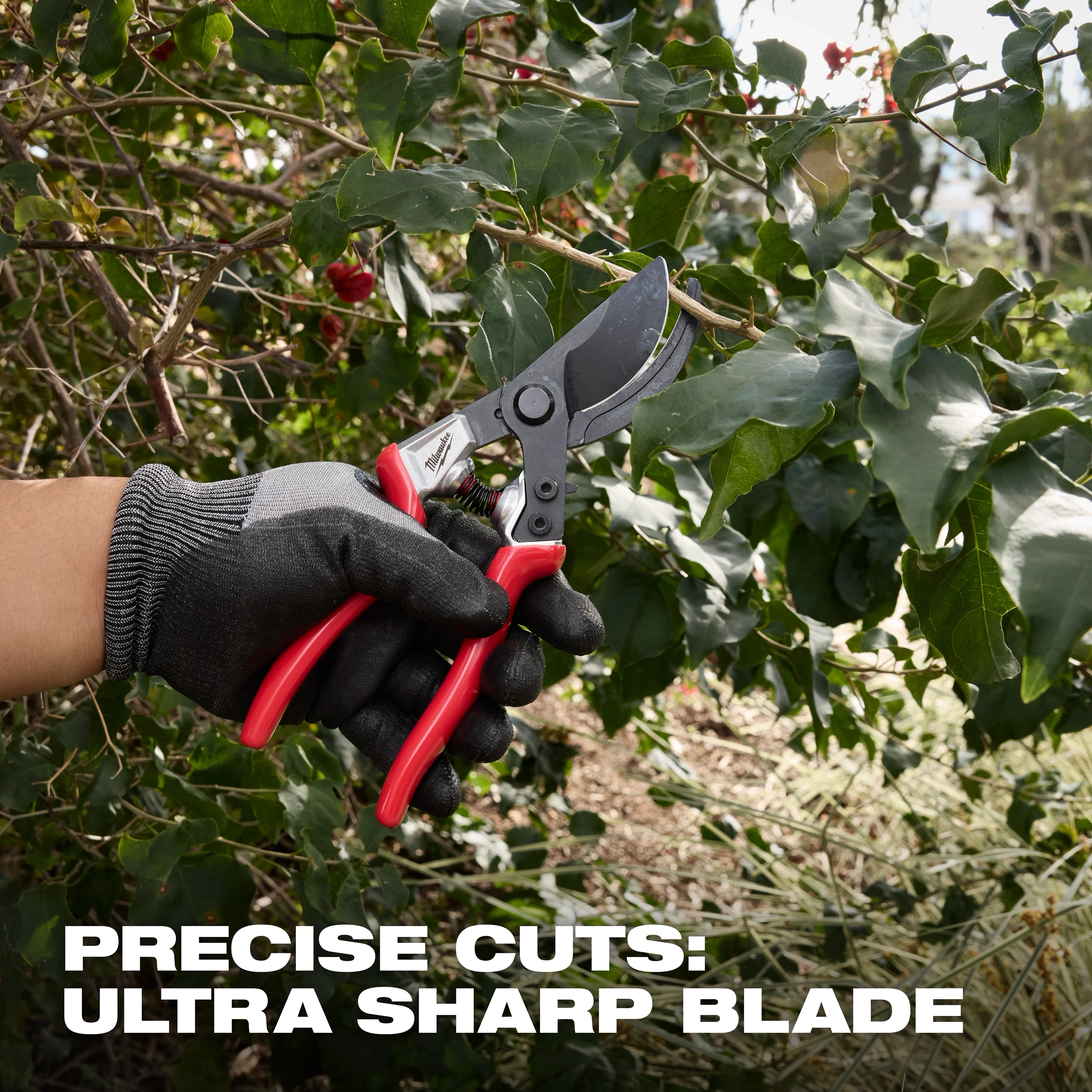 Gloved hand using 1” Angled Pruner​ with red handles to cut leafy branches outdoors.