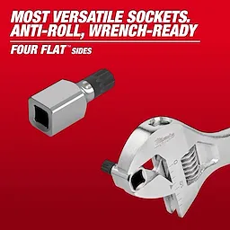 Triple Square Bit Socket with four flat sides highlighted, shown clamped in an adjustable wrench on a red background.