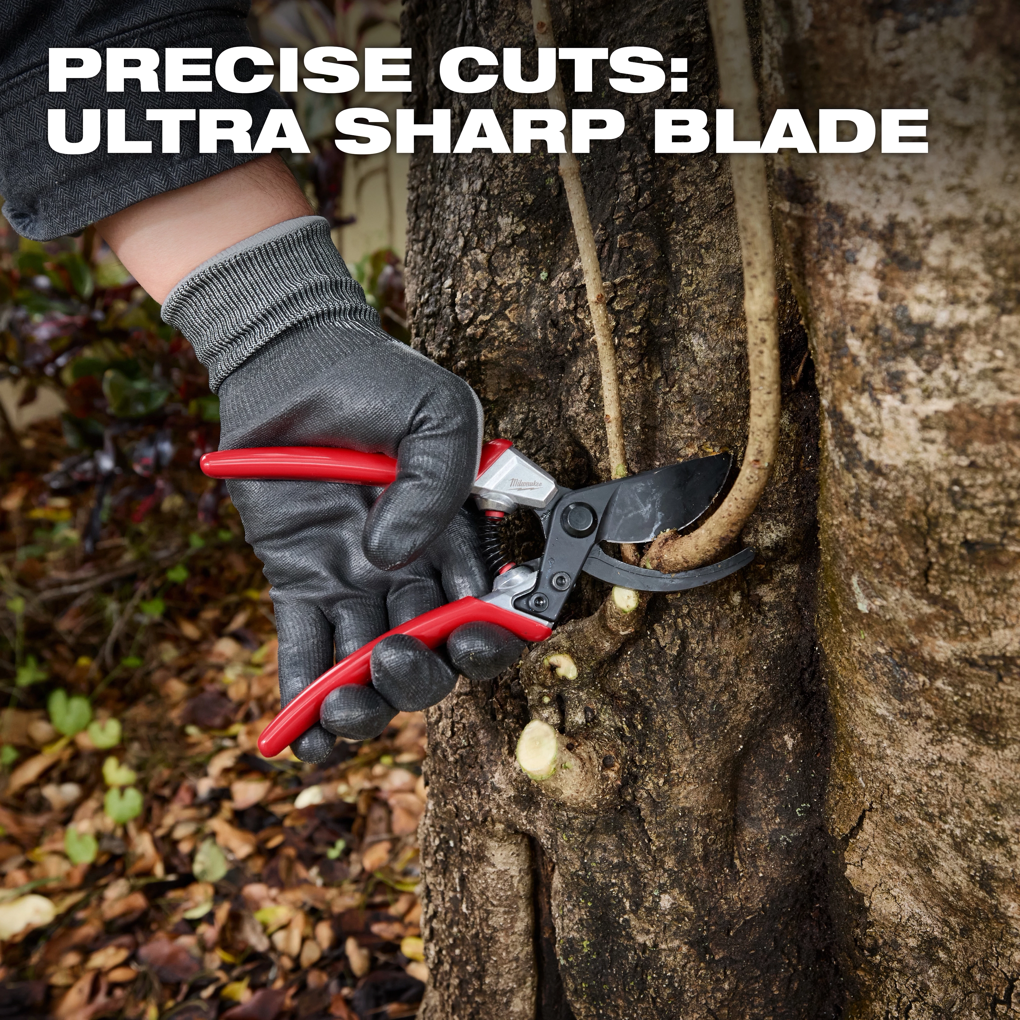 A gloved hand uses a 1" Pruner with red handles to cut a thin branch. The pruner is held against a tree trunk. The image includes text: "Precise Cuts: Ultra Sharp Blade" written in capital letters at the top. Leaves and branches are scattered on the ground.