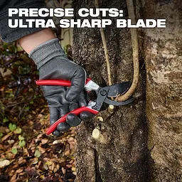 A gloved hand uses a 1" Pruner with red handles to cut a thin branch. The pruner is held against a tree trunk. The image includes text: "Precise Cuts: Ultra Sharp Blade" written in capital letters at the top. Leaves and branches are scattered on the ground.