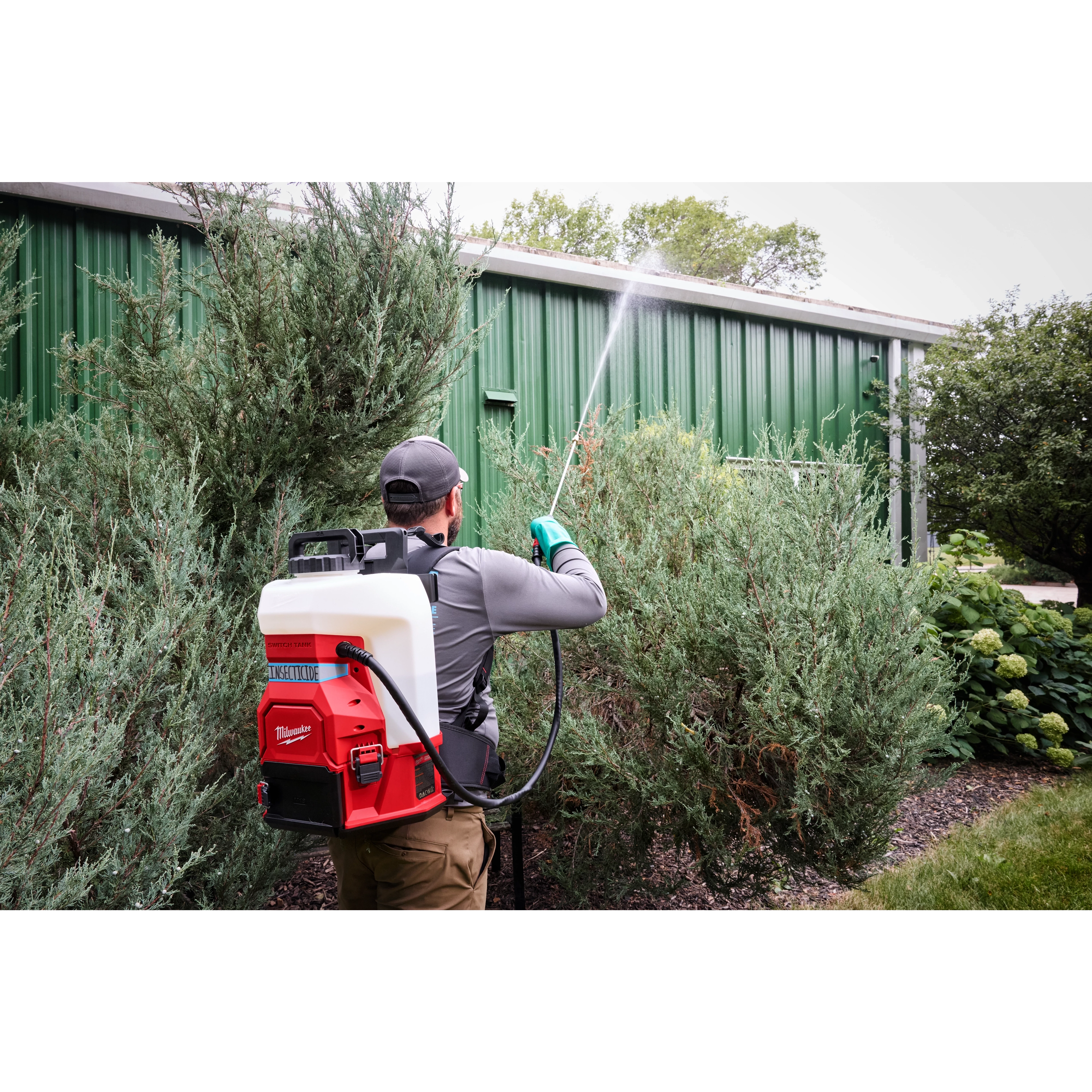 A person wearing a grey shirt and cap uses an M18™ 4-Gallon Backpack Sprayer with SWITCH TANK™ to spray liquid onto tall shrubbery beside a green metal building. The sprayer is red and white with a hose extending to the nozzle in hand.