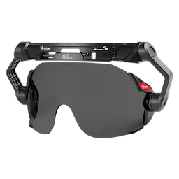 BOLT Eye Visor Tinted Dual Coat Lens