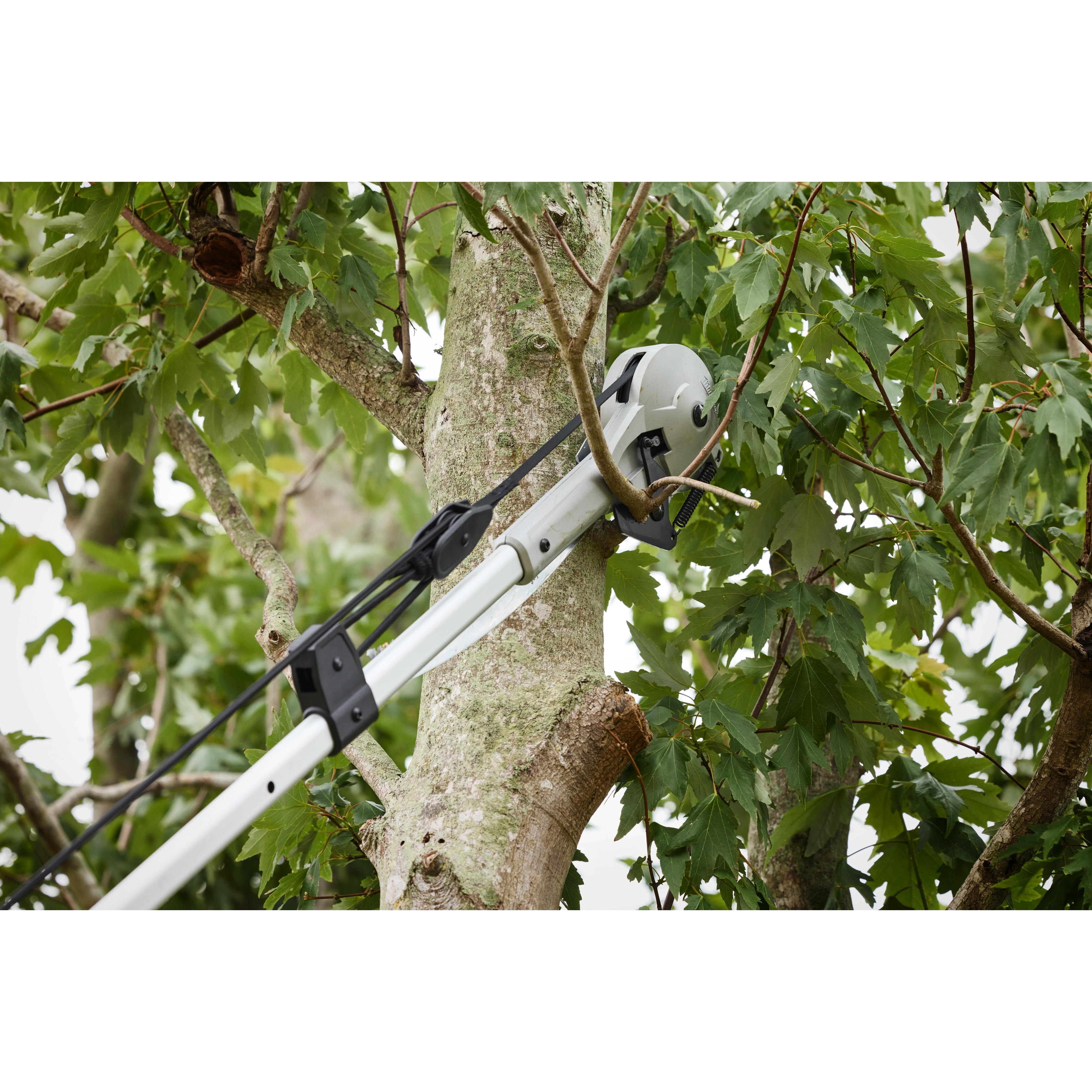 The image shows a 16' Pole Saw & Pruner cutting through a branch of a tree. The pole saw is extended and in use, surrounded by green leaves and branches.