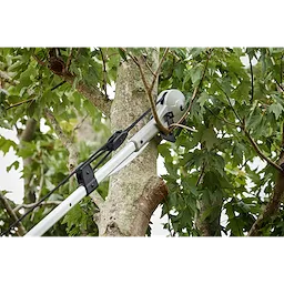 The image shows a 16' Pole Saw & Pruner cutting through a branch of a tree. The pole saw is extended and in use, surrounded by green leaves and branches.